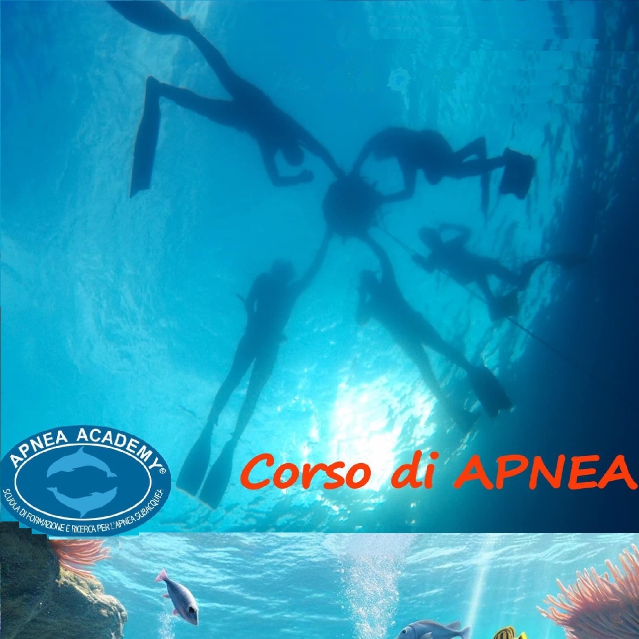 Corso Open Apnea